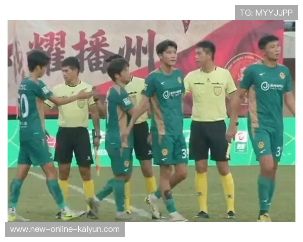 足球裁判执法时被球迷扔瓶子砸中