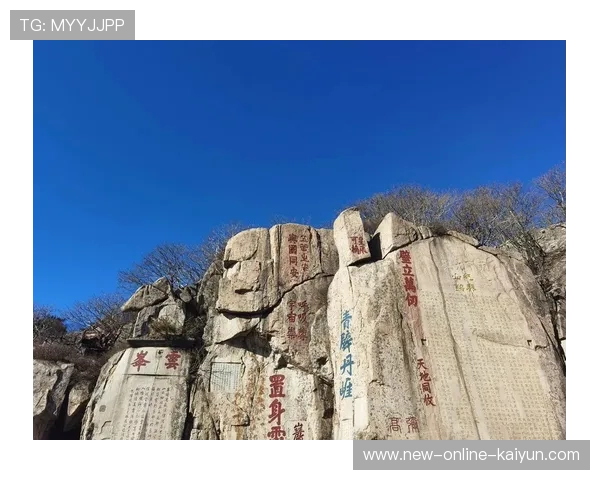 山东泰山节奏突然上档